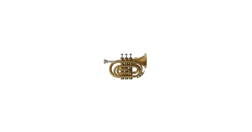 INSTRUMENTOS VARIOS